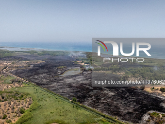 A drone view of wildfire in Le Cesine Nature Reserve, Italy, on July 1, 2024. A vast fire broke out in the afternoon on June 30, 2024, in th...