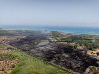 A drone view of wildfire in Le Cesine Nature Reserve, Italy, on July 1, 2024. A vast fire broke out in the afternoon on June 30, 2024, in th...