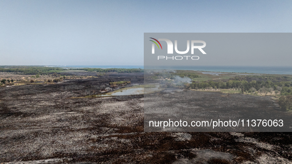 A drone view of wildfire in Le Cesine Nature Reserve, Italy, on July 1, 2024. A vast fire broke out in the afternoon on June 30, 2024, in th...