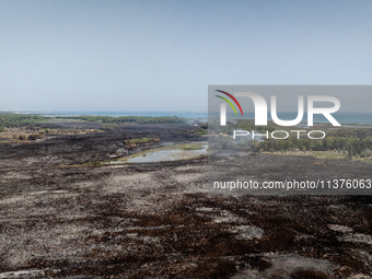 A drone view of wildfire in Le Cesine Nature Reserve, Italy, on July 1, 2024. A vast fire broke out in the afternoon on June 30, 2024, in th...