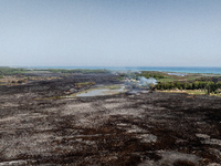 A drone view of wildfire in Le Cesine Nature Reserve, Italy, on July 1, 2024. A vast fire broke out in the afternoon on June 30, 2024, in th...