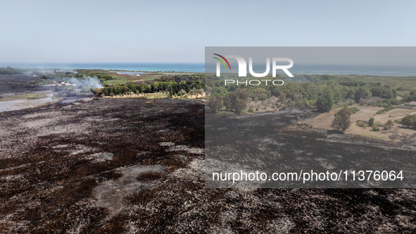 A drone view of wildfire in Le Cesine Nature Reserve, Italy, on July 1, 2024. A vast fire broke out in the afternoon on June 30, 2024, in th...