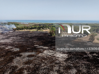 A drone view of wildfire in Le Cesine Nature Reserve, Italy, on July 1, 2024. A vast fire broke out in the afternoon on June 30, 2024, in th...