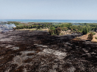 A drone view of wildfire in Le Cesine Nature Reserve, Italy, on July 1, 2024. A vast fire broke out in the afternoon on June 30, 2024, in th...