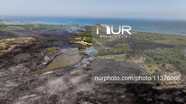 A drone view of wildfire in Le Cesine Nature Reserve, Italy, on July 1, 2024. A vast fire broke out in the afternoon on June 30, 2024, in th...