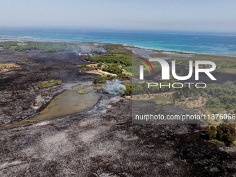 A drone view of wildfire in Le Cesine Nature Reserve, Italy, on July 1, 2024. A vast fire broke out in the afternoon on June 30, 2024, in th...