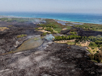 A drone view of wildfire in Le Cesine Nature Reserve, Italy, on July 1, 2024. A vast fire broke out in the afternoon on June 30, 2024, in th...