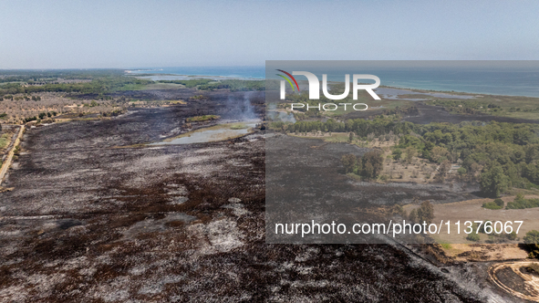 A drone view of wildfire in Le Cesine Nature Reserve, Italy, on July 1, 2024. A vast fire broke out in the afternoon on June 30, 2024, in th...