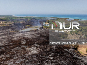 A drone view of wildfire in Le Cesine Nature Reserve, Italy, on July 1, 2024. A vast fire broke out in the afternoon on June 30, 2024, in th...