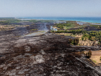 A drone view of wildfire in Le Cesine Nature Reserve, Italy, on July 1, 2024. A vast fire broke out in the afternoon on June 30, 2024, in th...