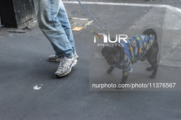 Pedestrians are facing a freezing winter morning on Avenida Paulista in Sao Paulo, on July 01, 2024. 