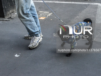 Pedestrians are facing a freezing winter morning on Avenida Paulista in Sao Paulo, on July 01, 2024. (