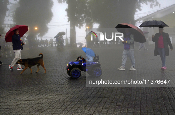 Pedestrians are carrying umbrellas during heavy rainfall in Darjeeling, India, on July 1, 2024. Darjeeling is a famous tourist destination i...