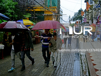 Pedestrians are carrying umbrellas during heavy rainfall in Darjeeling, India, on July 1, 2024. Darjeeling is a famous tourist destination i...