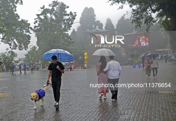 Pedestrians are carrying umbrellas during heavy rainfall in Darjeeling, India, on July 1, 2024. Darjeeling is a famous tourist destination i...