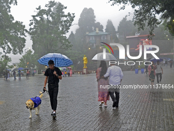 Pedestrians are carrying umbrellas during heavy rainfall in Darjeeling, India, on July 1, 2024. Darjeeling is a famous tourist destination i...