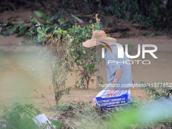 An elderly man is cleaning garbage from a farm at Si 'an Village in Liuzhou city, South China's Guangxi Zhuang Autonomous region, on July 2,...