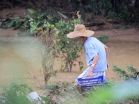 An elderly man is cleaning garbage from a farm at Si 'an Village in Liuzhou city, South China's Guangxi Zhuang Autonomous region, on July 2,...