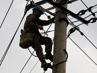 A power repair worker is working on a pole in Si 'an village, Liuzhou city, Guangxi province, China, on July 2, 2024. (