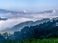 The fields, houses, mountains, and villages of Zhimu Village are appearing in the morning fog after returning farmland to forest in Chongqin...