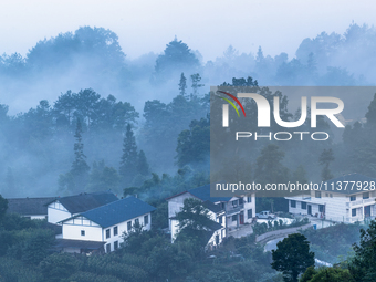 The fields, houses, mountains, and villages of Zhimu Village are appearing in the morning fog after returning farmland to forest in Chongqin...