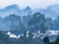 The fields, houses, mountains, and villages of Zhimu Village are appearing in the morning fog after returning farmland to forest in Chongqin...