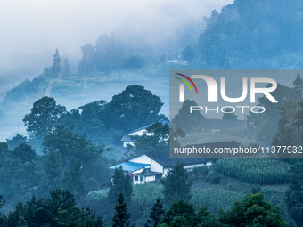 The fields, houses, mountains, and villages of Zhimu Village are appearing in the morning fog after returning farmland to forest in Chongqin...