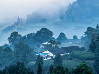 The fields, houses, mountains, and villages of Zhimu Village are appearing in the morning fog after returning farmland to forest in Chongqin...