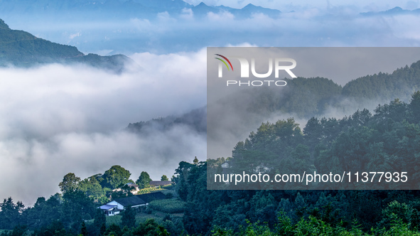 The fields, houses, mountains, and villages of Zhimu Village are appearing in the morning fog after returning farmland to forest in Chongqin...