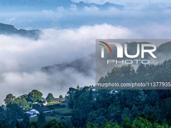 The fields, houses, mountains, and villages of Zhimu Village are appearing in the morning fog after returning farmland to forest in Chongqin...