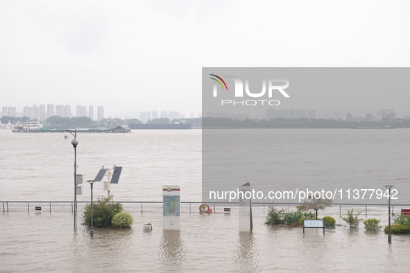 Water levels in the Nanjing section of the Yangtze River are rising above the warning line in Nanjing, Jiangsu province, China, on July 2, 2...