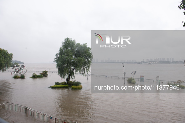 Water levels in the Nanjing section of the Yangtze River are rising above the warning line in Nanjing, Jiangsu province, China, on July 2, 2...