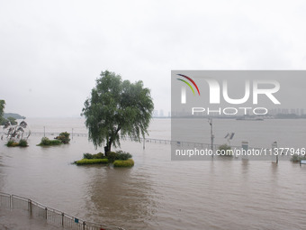 Water levels in the Nanjing section of the Yangtze River are rising above the warning line in Nanjing, Jiangsu province, China, on July 2, 2...