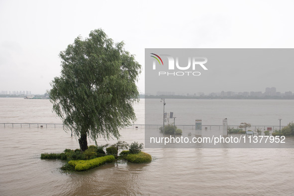 Water levels in the Nanjing section of the Yangtze River are rising above the warning line in Nanjing, Jiangsu province, China, on July 2, 2...