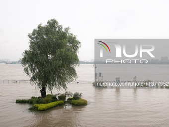 Water levels in the Nanjing section of the Yangtze River are rising above the warning line in Nanjing, Jiangsu province, China, on July 2, 2...