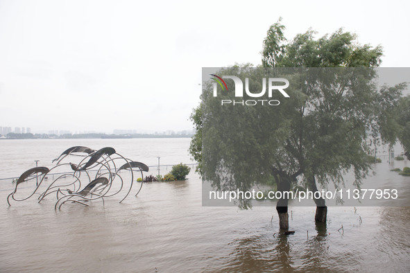 Water levels in the Nanjing section of the Yangtze River are rising above the warning line in Nanjing, Jiangsu province, China, on July 2, 2...