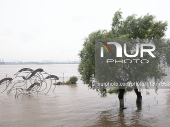 Water levels in the Nanjing section of the Yangtze River are rising above the warning line in Nanjing, Jiangsu province, China, on July 2, 2...