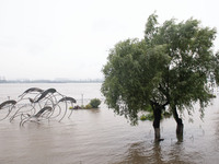 Water levels in the Nanjing section of the Yangtze River are rising above the warning line in Nanjing, Jiangsu province, China, on July 2, 2...