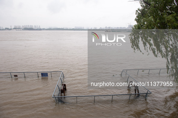 Water levels in the Nanjing section of the Yangtze River are rising above the warning line in Nanjing, Jiangsu province, China, on July 2, 2...