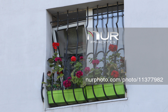 Geraniums in plastic planters are growing in a barred window that was damaged by a recent Russian missile attack in Dnipro, Ukraine, on July...