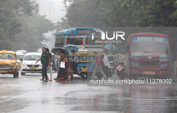 Commuters are crossing a busy road with umbrellas during monsoon rain in Kolkata, India, on July 2, 2024. 