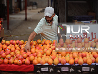 A produce merchant is arranging mangoes for sale at a stall along a market street in Deir el-Balah in the central Gaza Strip on July 2, 2024...