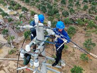 A line is being repaired in Si'an village, Rongan County, Liuzhou City, South China's Guangxi Zhuang Autonomous region, on July 2, 2024. (