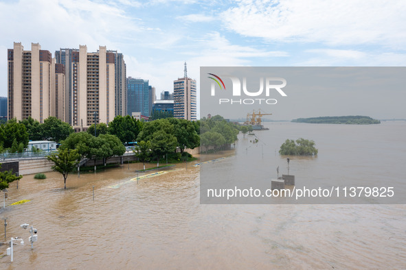 Water is rising in the Nanjing section of the Yangtze River in Nanjing, China, on July 3, 2024. 