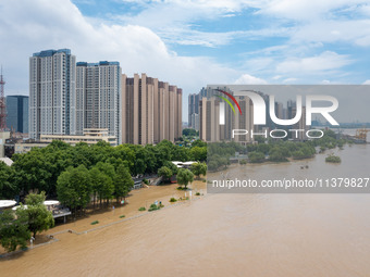 Water is rising in the Nanjing section of the Yangtze River in Nanjing, China, on July 3, 2024. (