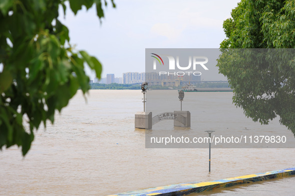 Water is rising in the Nanjing section of the Yangtze River in Nanjing, China, on July 3, 2024. 