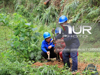 Electric power repair personnel are fixing the ground anchor of a pole in Si'an village, Rongan County, Liuzhou city, South China's Guangxi...