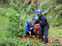 Electric power repair personnel are fixing the ground anchor of a pole in Si'an village, Rongan County, Liuzhou city, South China's Guangxi...