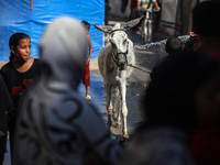 A young Palestinian man is spraying a donkey with water during a heat wave in Deir al-Balah in the central Gaza Strip on July 3, 2024, amid...