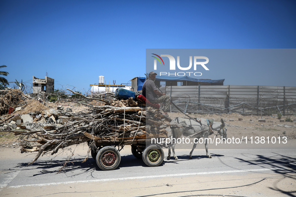 A Palestinian man is using a donkey cart to transport firewood on Salah El Din Street in Deir al-Balah in the central Gaza Strip on July 3,...